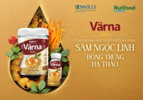 Varna Elite giúp hỗ trợ bồi bổ trí não, tăng cường tuần hoàn và nâng cao thể trạng.