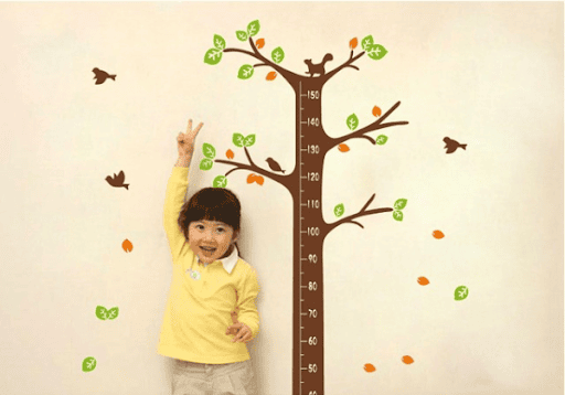 Những dưỡng chất quan trọng giúp trẻ phát triển chiều cao, trí não và thể chất toàn diện